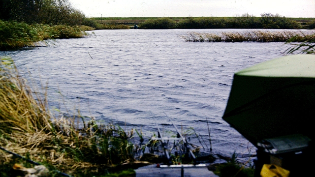 I first fished this lovely little pool in the mid 1980s when you had access to all four banks