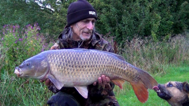 Plenty of commons in frisby and they are going to get big!