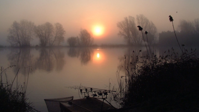 Misty willow dawn spring 2009 swim 3