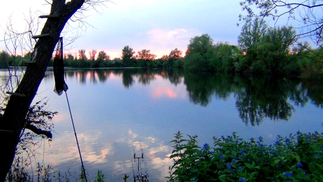 Shallow lake north east corner