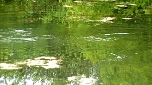 Bubblers! This is what happens when you get them going on a good bait. Unfortunately this was on one of my frequent but short baiting up trips and i didnt have a rod with me :(