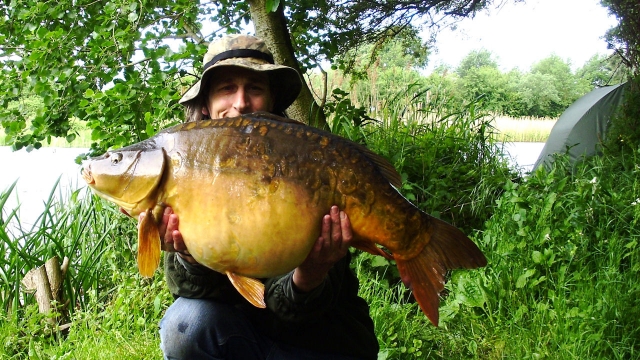 Golden wonder at upper twenties after eating all my berry