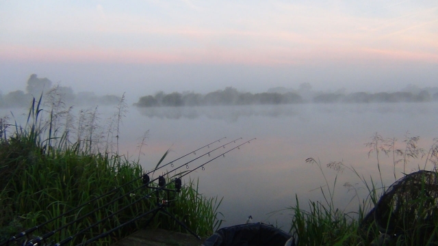 Late october and the fog