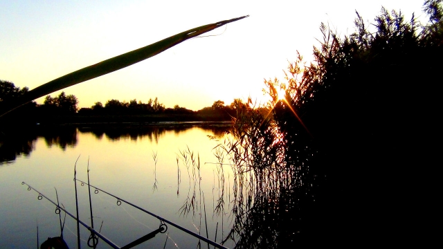 The shallows at dusk september 2012