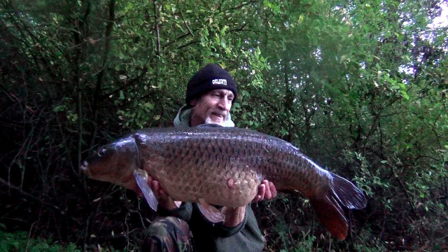 Second mid-twenty of the session and the six fish of a dream session in the secret swim