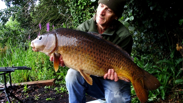 The blind common