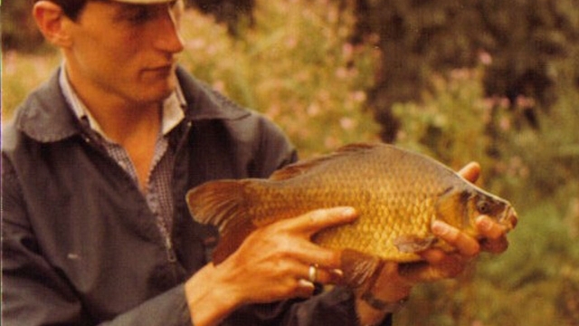 One of the crucian carp from todds, sadly they all disappeared after a few years