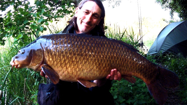 Dawn 29.15 common