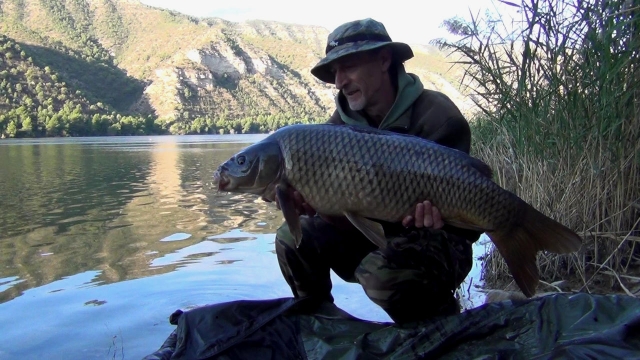 My first carp from the river Ebro at mid twenties