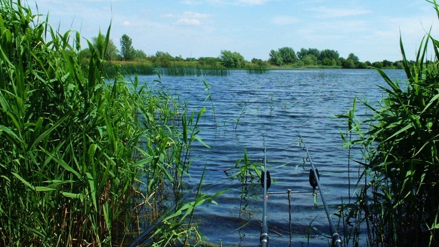 June 2003 fishing the shallows