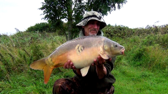 Another one of the really hard fighting plump mid-double apple-slice-scaled mirrors