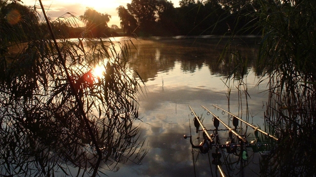 The point swim at dawn july 2005