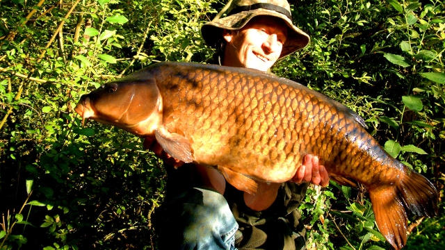 First of a brace of commons. this one at 26lb 1 september 2008