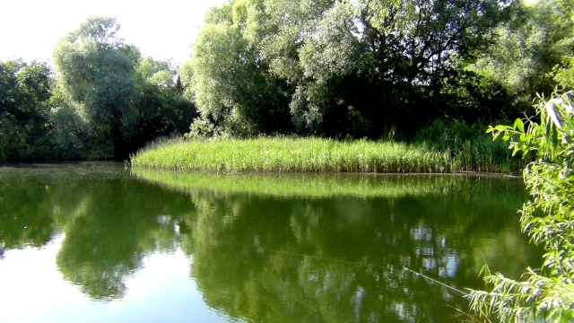The end swim on the north-east bank
