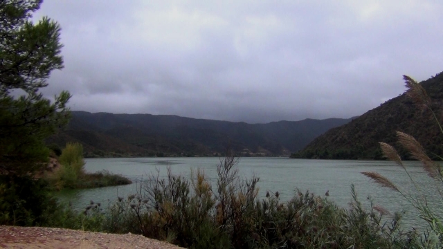 Moody Ebro