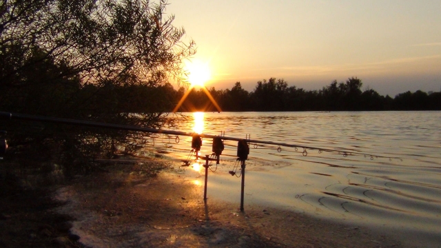 Luxury swim on shallow