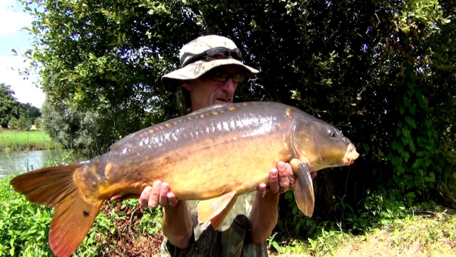One of the more recently added fish