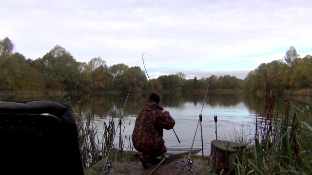 South bank action november 2016