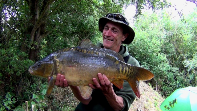 Young stockie just on doubles
