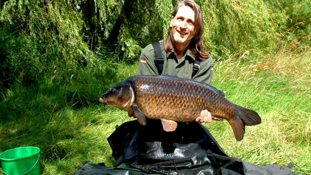 Mid twenty july 2007