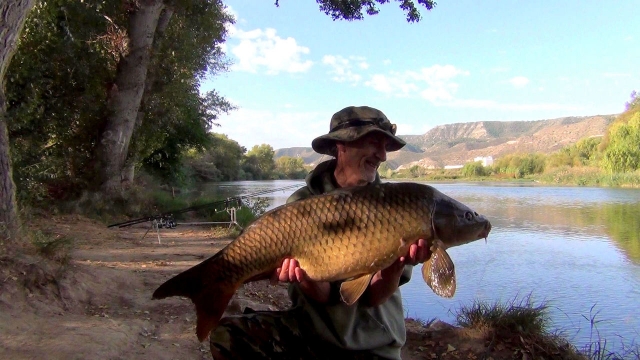 My first spanish carp from the river segre