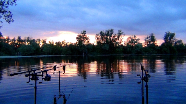 Sunset in the copse swim