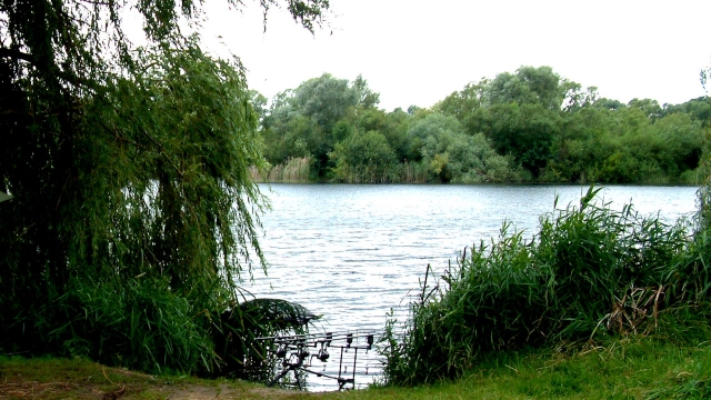 Willow bay swim july 2007