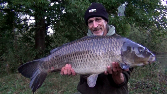 Supermoon common
