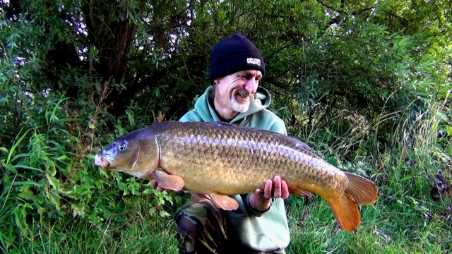 17lb long wild common and second fish of the session