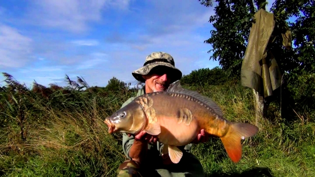 An absolutely wonderfully shaped apple-slice-scaled mirror