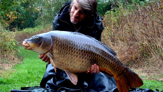 Single scale at 26.8lb 2nd twenty of the morning october 2006