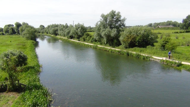 The river cam from up top the a14 bridge is a very good fish spotting position if a little noisey!
