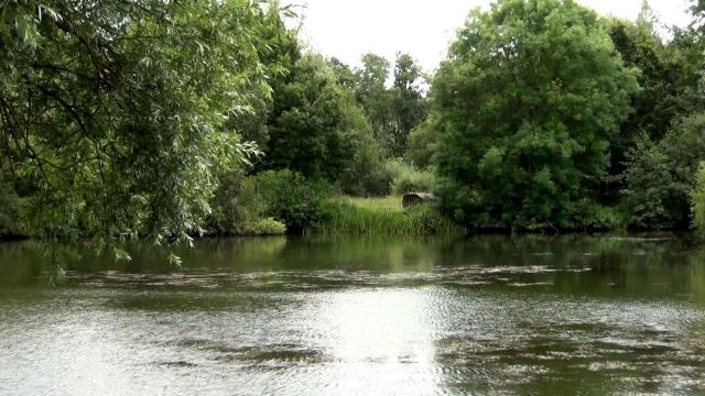 Looking across the lake from the road bank to the island swim