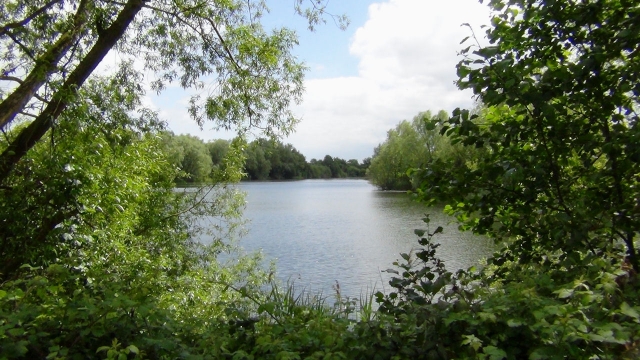 Looking back down the lake from the north west corner of lake 8 2015