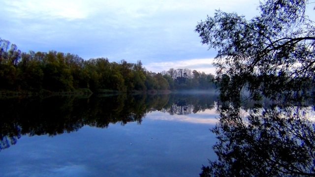 Misty summers dawn on lake 7 july 2016