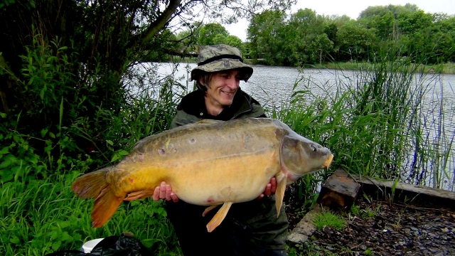 Frisby at 40lb