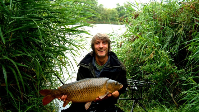A nice plump 17lb common, my first from the shallows swim, september 2006