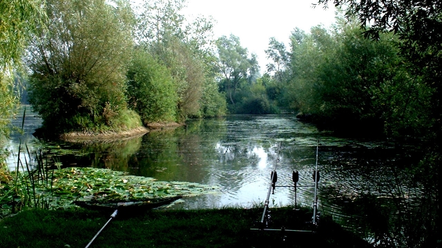 Another view of the channel swim aug 2005