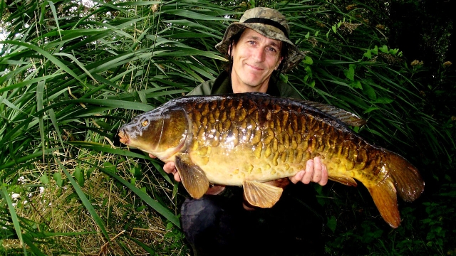 Probably the nicest looking carp in pingles and over 40 years old in 2009