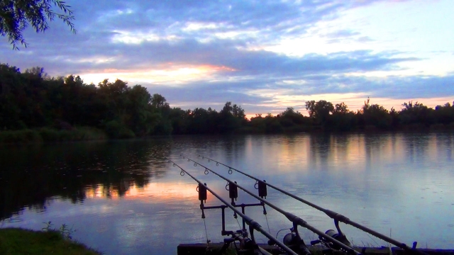The lake from the carp park swim