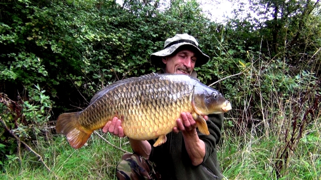 Six carp of the session in the fall swim, third twenty+ common and what a character!