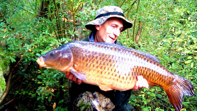 First of a brace of commons. 26lb 23 september 2008