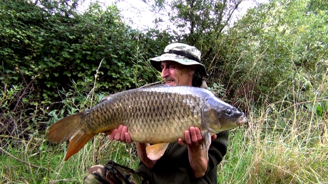 Fourth fish of the session in the fall swim and my first 20lb+ common from lake 8