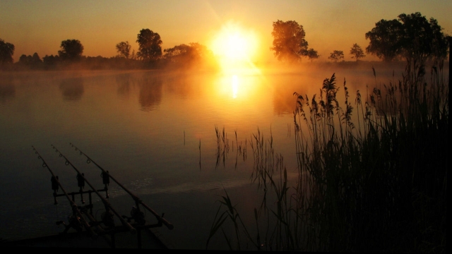 Perfect dawn