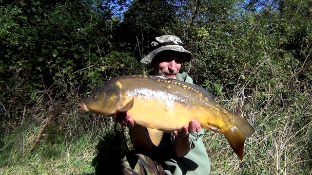 Third fish of the session and one of the stock fish put in five years ago. this one is now 15lb