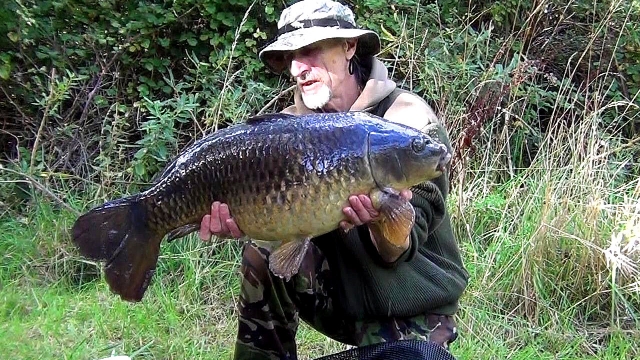 Seventh fish of a memorable afternoon in the fall swim and my forth lake 8 20lb+ common of the session