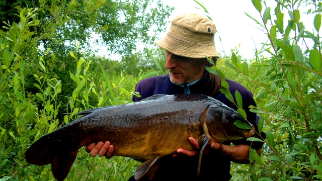 One of the 40 year old originals at 18.12lb 14 july 2008