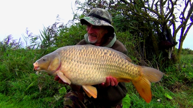 Amazing looking 17lb+ common with a fully-scaled tint to its scaling and gorgeous colours in the fins