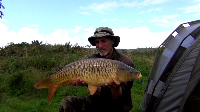 Another stunner, there are just so many of them!