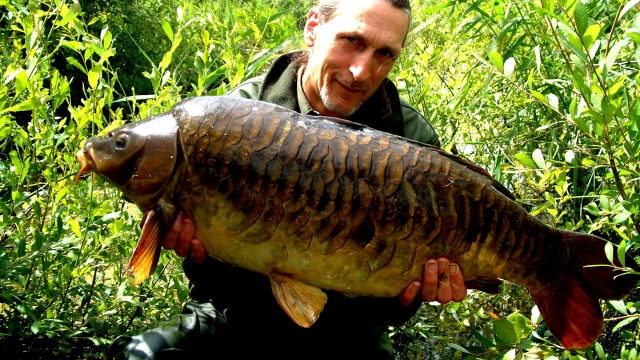 The fully scaled at 23.8lb over 40 years old as of 15 july 2008